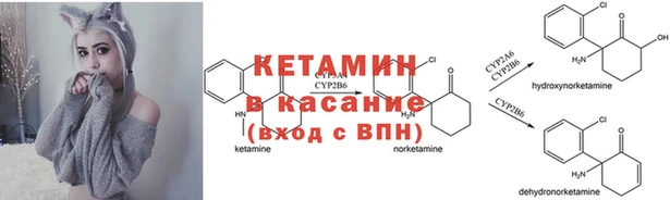 бошки Баксан